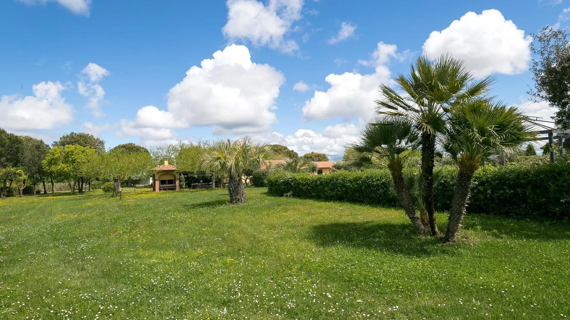 Il Girasole - Tasso Villa Venturina Terme Italië
